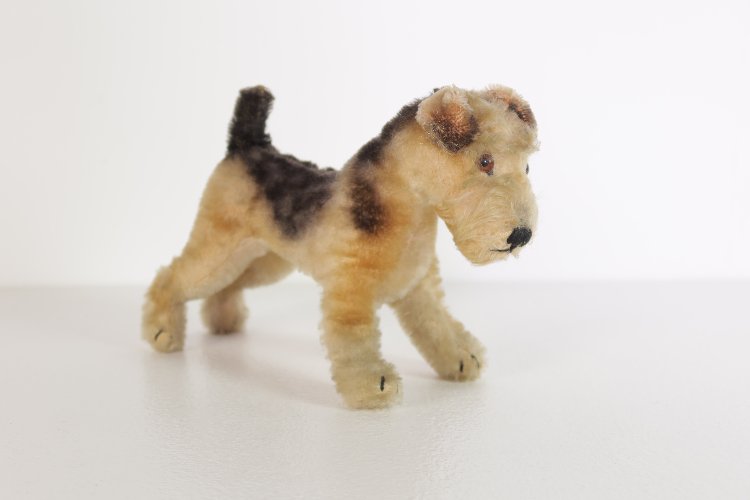 Vintage mohair Terry Airedale terrier by Steiff 1950s